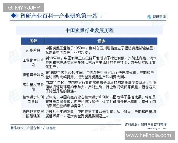 官方资讯概览：全面解读最新政策动态与行业趋势分析